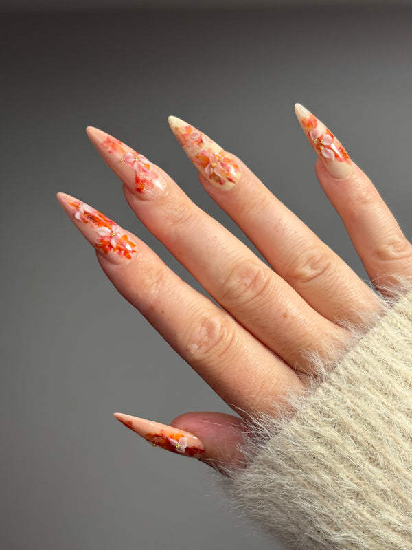 Press on Nails-Painted Lady premium