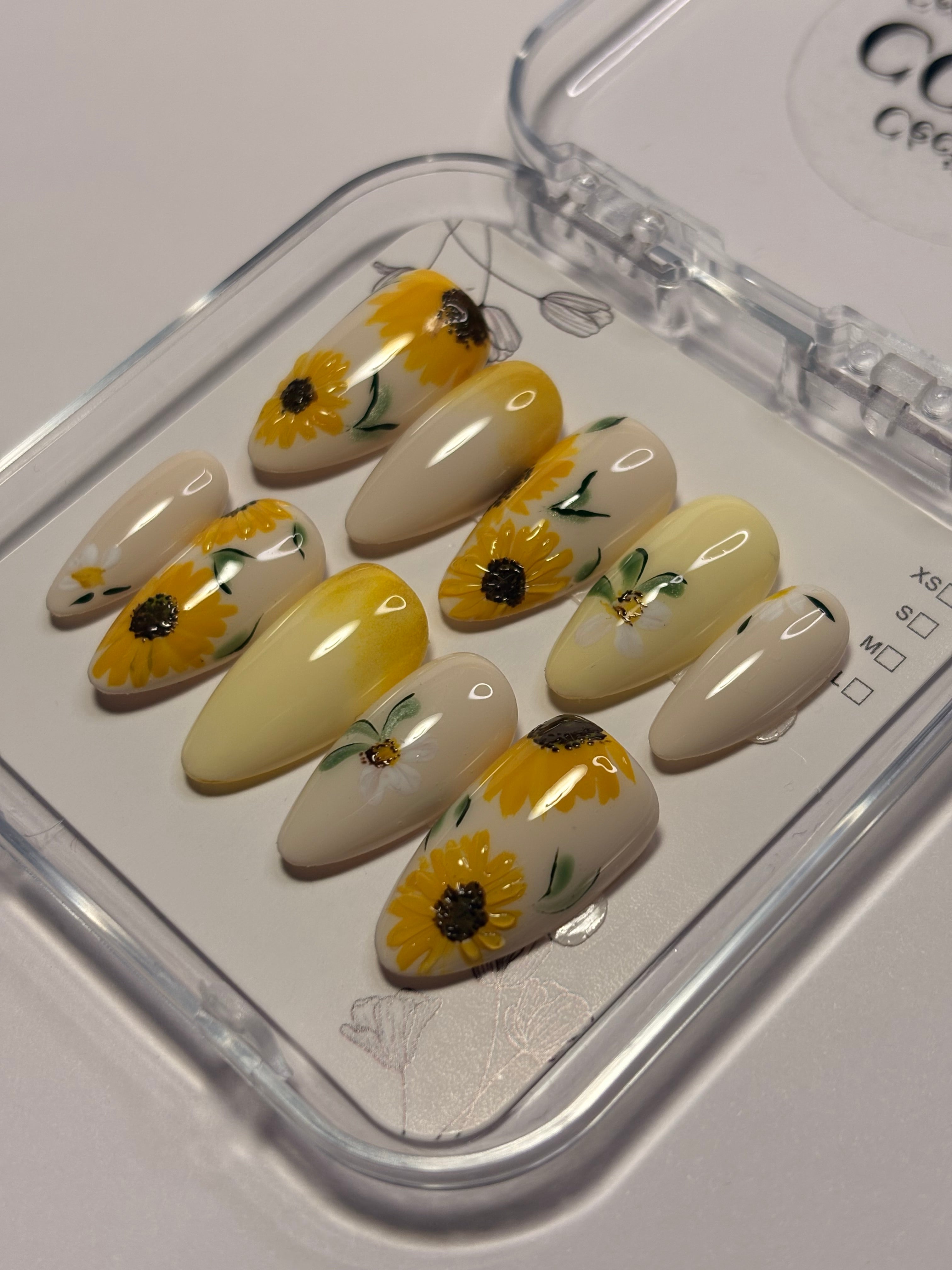 Summer- Sunflower bloom